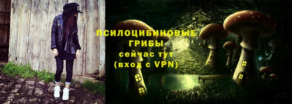 молекула духа Балахна