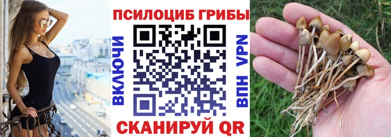 mega ONION  Кяхта  Галлюциногенные грибы мицелий 